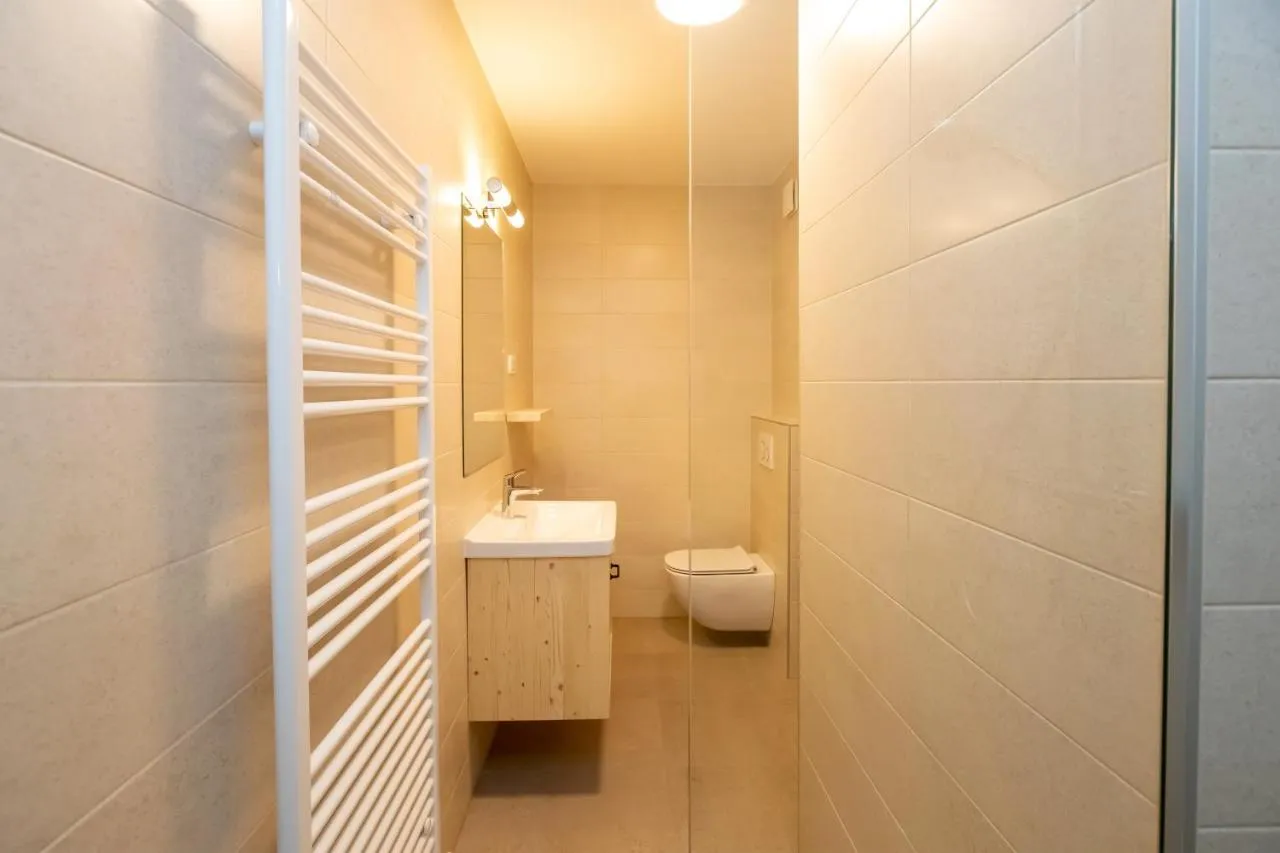 Apartma E: kopalnica s tušem
