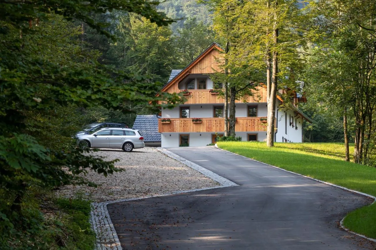 Dovoz in parkirišče pred hišo