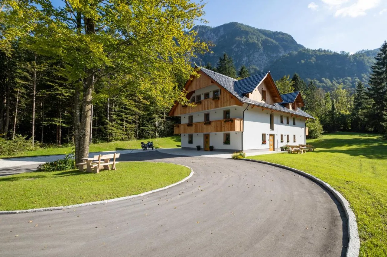 Naša hiša na travniku v Ukancu, za njo gozd in gore